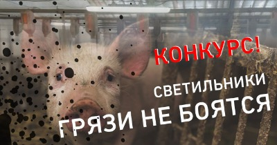 ������� �� ������������� ���������
