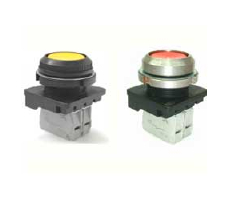 ������������������ ����� ������ �������� ����������� �������� ����� �Briswik�